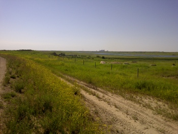 Souris River Down Stream of Raferty Dam